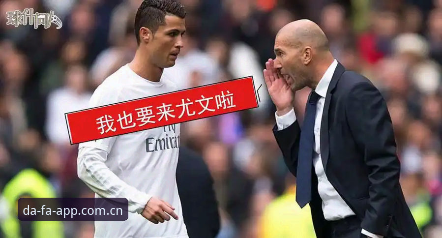 当更衣室斗殴无人道歉，体育总监该如何应对突发危机？